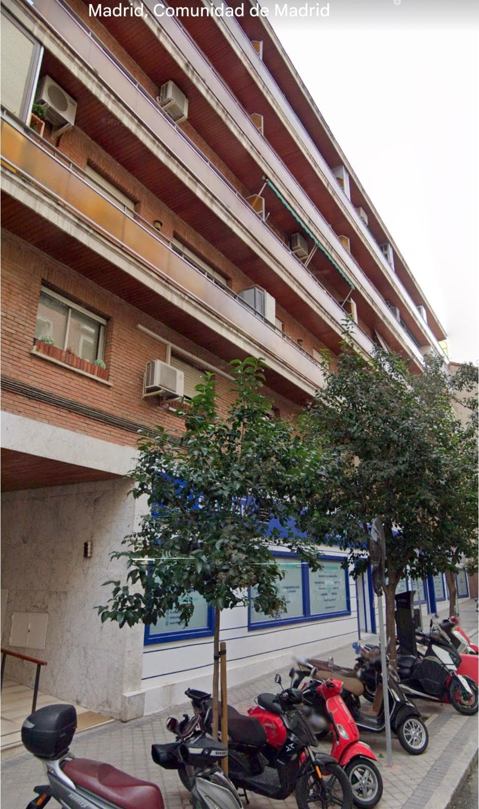 Imagen 13